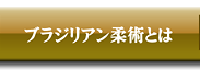 �u���W���A���_�p�Ƃ́H